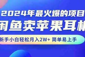 （10863期）2024年最火爆的项目，闲鱼卖苹果耳机，新手小白轻松月入2W+简单易上手