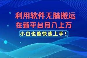 （11078期）利用软件无脑搬运，在新平台月入上万，小白也能快速上手