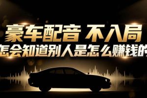 （16908期）小众暴利赛道：豪车配音软件玩法，操作简单暴力，单人日入可达15W