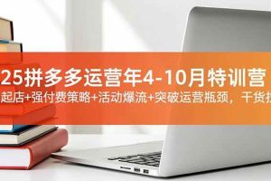 （16642期）2025拼多多运营年4-10月特训营：暴力起店+强付费策略+活动爆流+突破运营瓶颈，干货拉满
